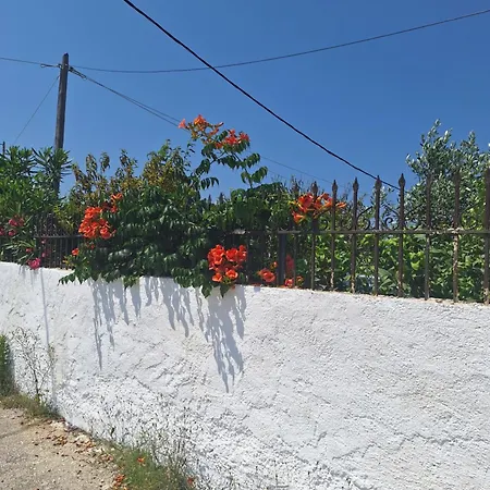 Ioanna's House Tatil Evi