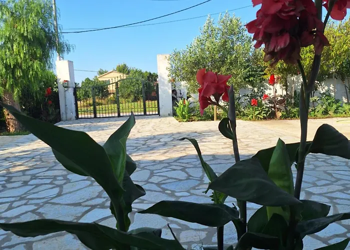 Ioanna's House