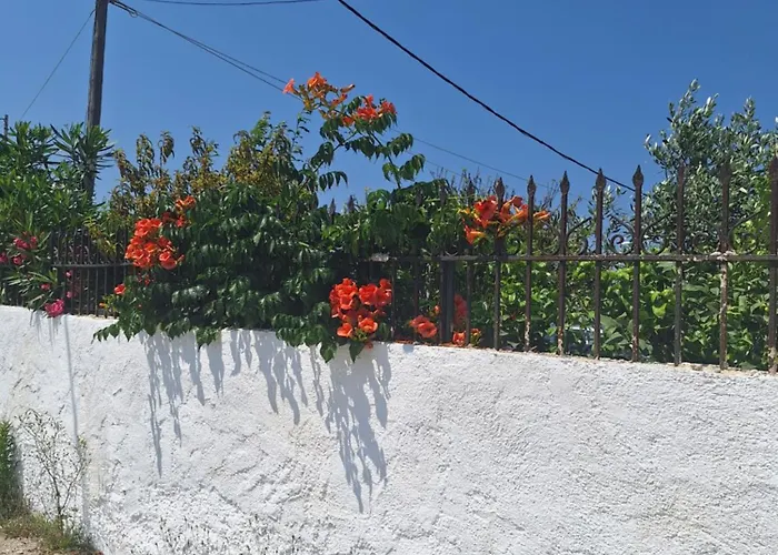 Ioanna's House Holiday home